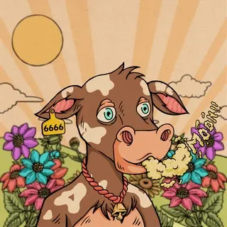 Cow #1234
