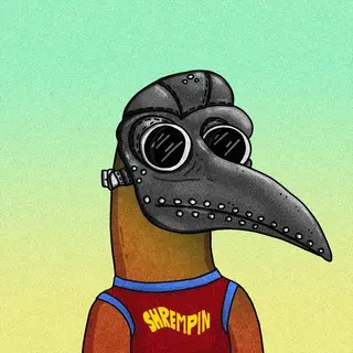 shremp #1577