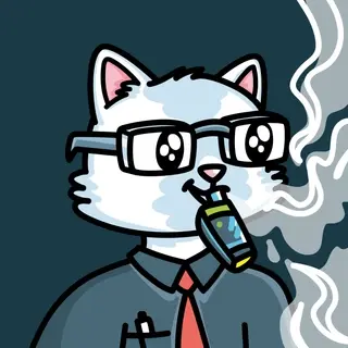 Suitcats #596