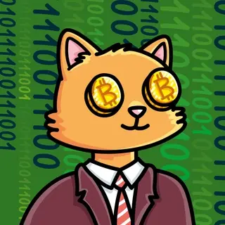 Suitcats #524