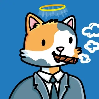 Suitcats #1662