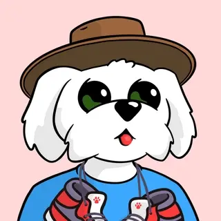 BoDoggos #1343