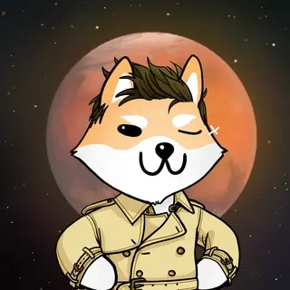 Dogelon: Mission SOLANA #237