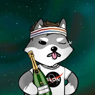 Dogelon: Mission SOLANA #279