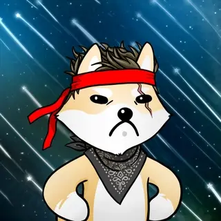 Dogelon: Mission SOLANA #303