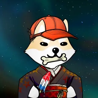 Dogelon: Mission SOLANA #339