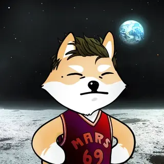 Dogelon: Mission SOLANA #384