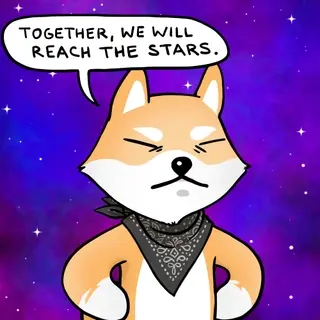Dogelon: Mission SOLANA #421