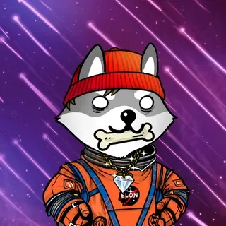 Dogelon: Mission SOLANA #62