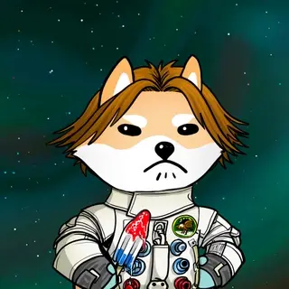 Dogelon: Mission SOLANA #7