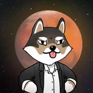 Dogelon: Mission SOLANA #722