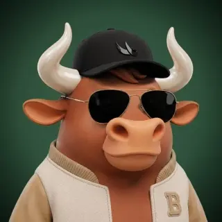 The Bulls #39922