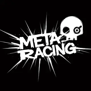Meta Racing Pilots