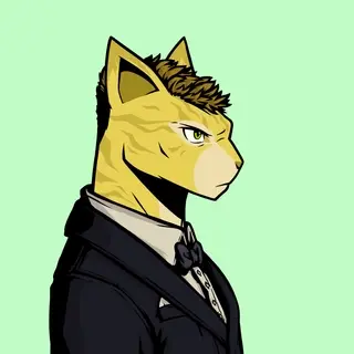 Gatos By Basebet